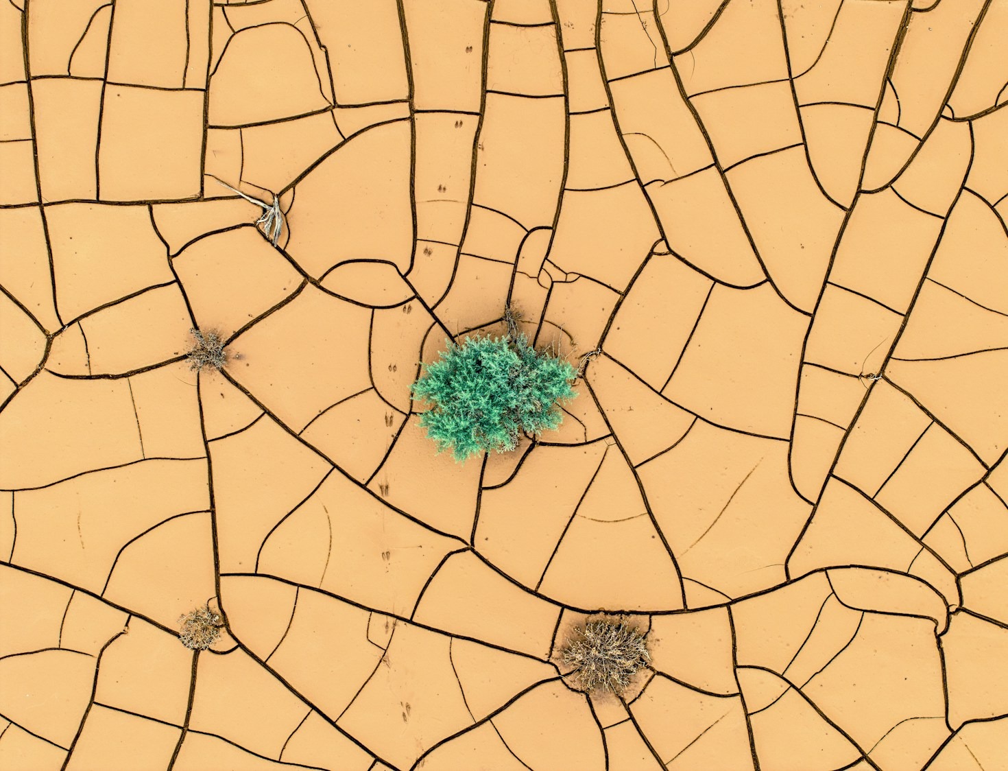Historias de éxito en la acción comunitaria por el medio ambiente